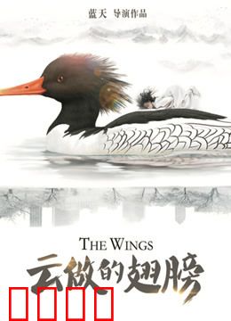 云做的翅膀：爱与梦想的飞翔
