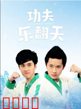 功夫乐翻天：爆笑拳脚