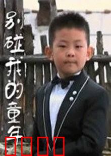 别碰我的童年：创伤与救赎