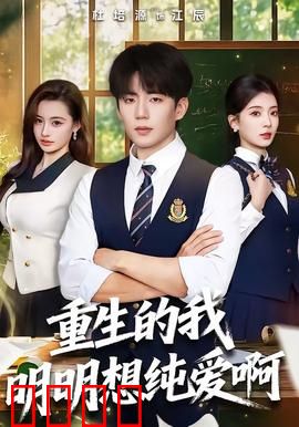 重生的我明明想纯爱啊：重生追爱记