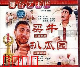 买牛：一头牛的血泪史