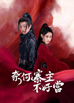 奈何寨主不好当：穿越来的倒霉蛋