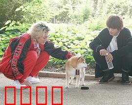 难破MG5特别篇：青春终章