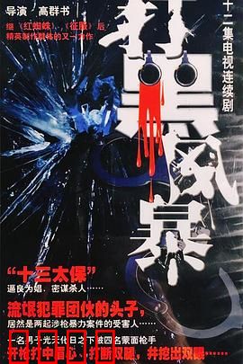 打黑风暴：正义利剑