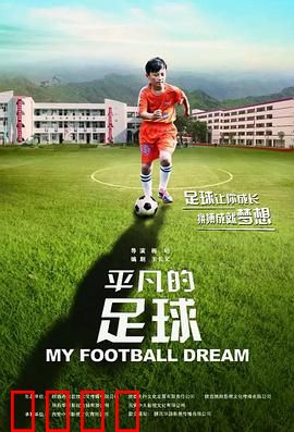 平凡的足球：草根逆袭之路