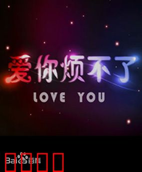 爱你烦不了：甜蜜的麻烦