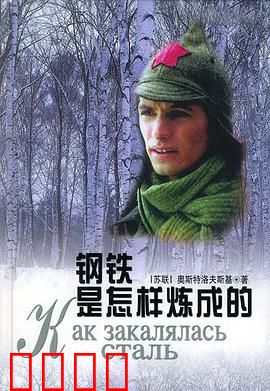 钢铁是怎样炼成的：理想与坚守