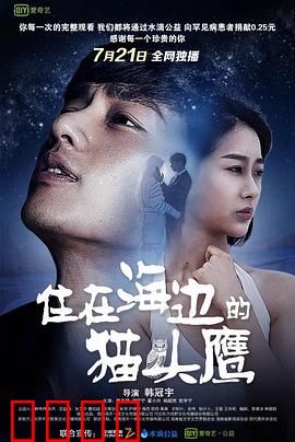 住在海边的猫头鹰：孤独者的海边童话