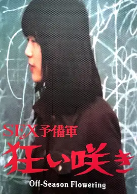 淡季花开：逆境中的芬芳