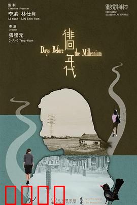 徘徊年代：迷失与追寻