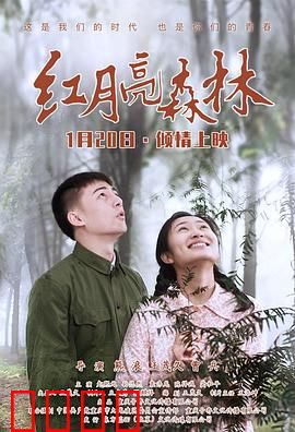 红月亮森林：血色迷雾下的真相