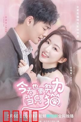 今天也要努力当只猫：猫奴的奇幻逆袭