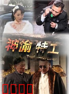 神偷特工：惊险偷天计
