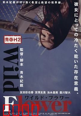 青春H2之狂野之花：叛逆少女的野性绽放