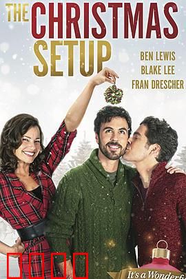 圣诞速配：假日浪漫奇缘