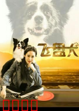 飞盘犬：逆袭夺冠之路