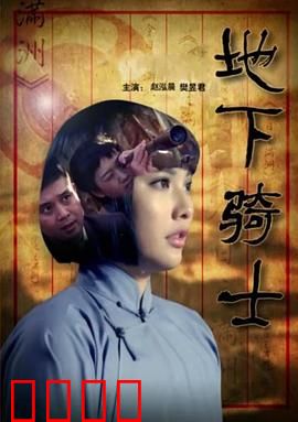 地下骑士：暗夜守护者