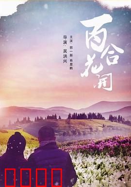 《百合花开》：为爱绽放