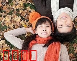 合居情缘：错位的心动