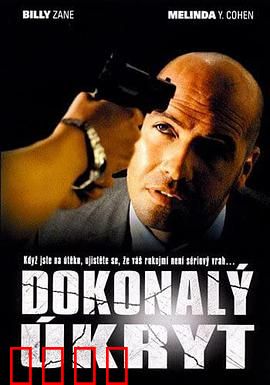 完美隐藏：假面下的真相