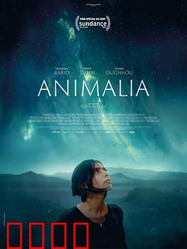 动物界：人与兽的边界何在