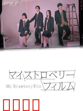 我的草莓胶卷：遗失的青春记忆